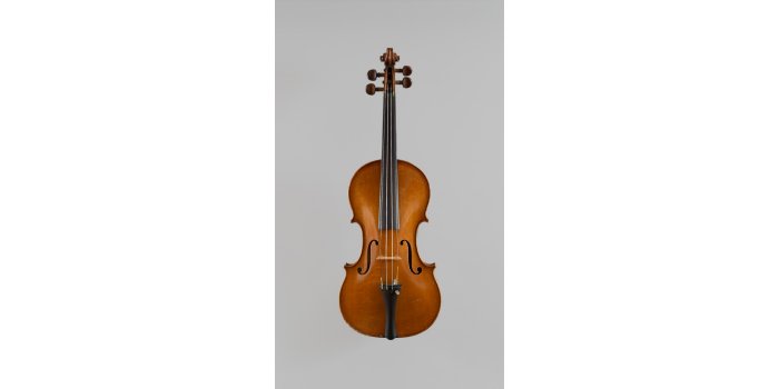 Violon