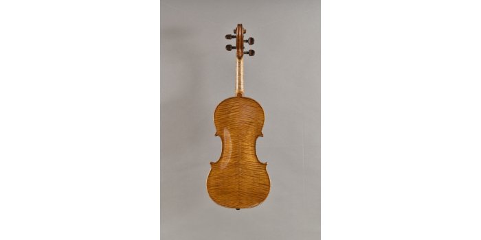 Violon