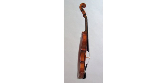 Violon