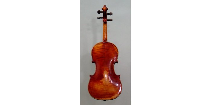 Violon