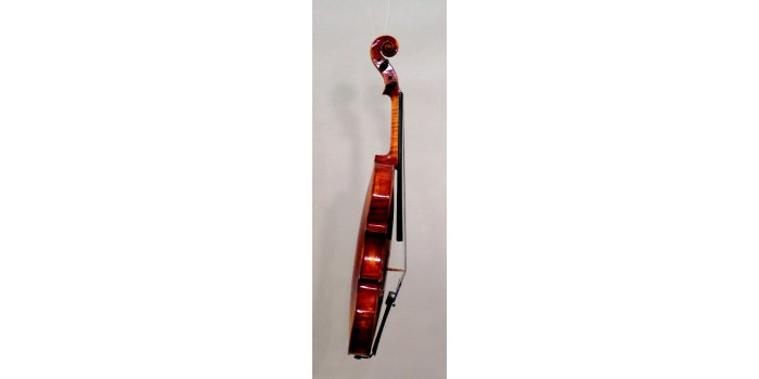 Violon