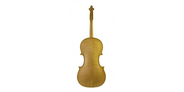 Violon