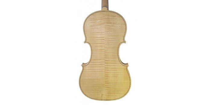 Violon