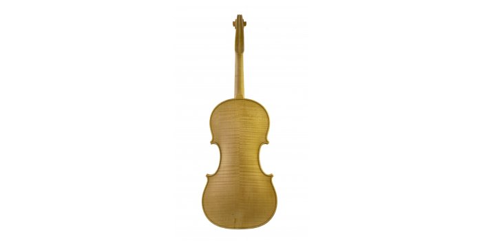 Violon