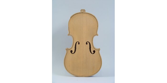 Violon