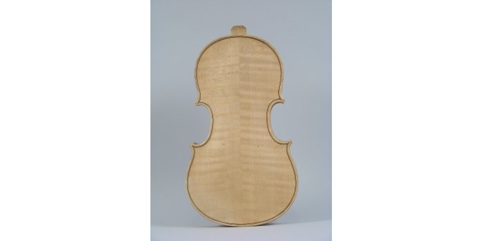 Violon