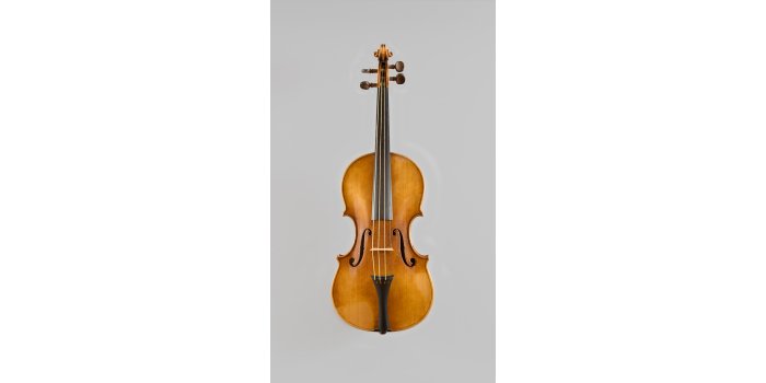 Violon