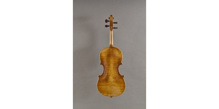 Violon