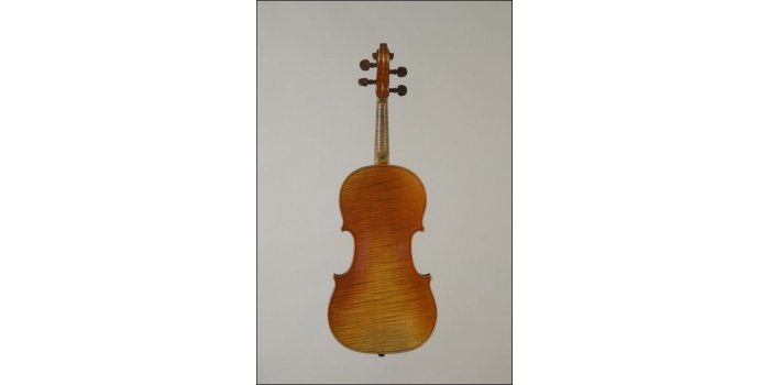 Violon