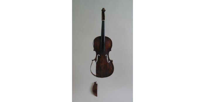 Violon