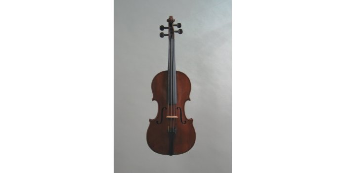 Violon