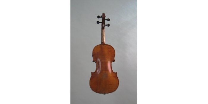 Violon