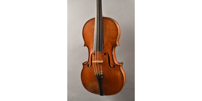 Violon