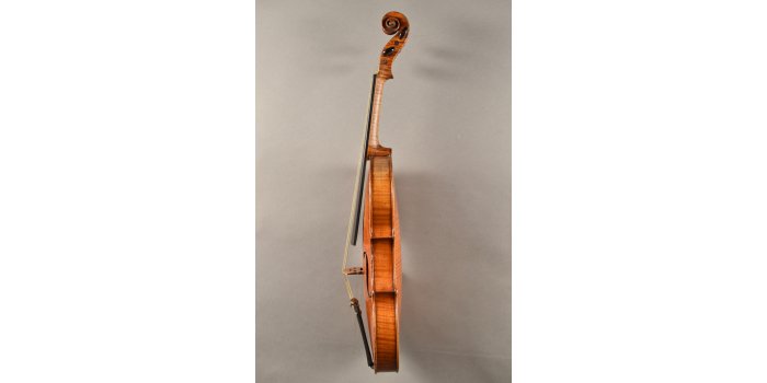 Violon