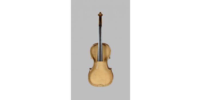 Violon