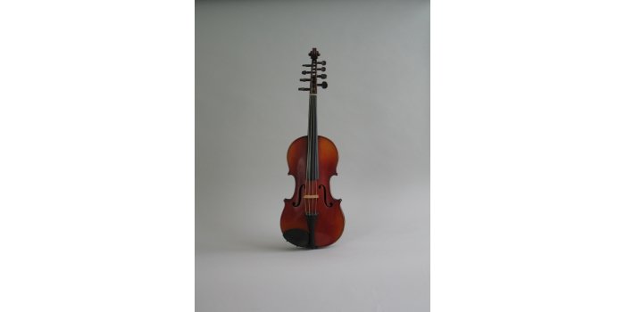 Violon