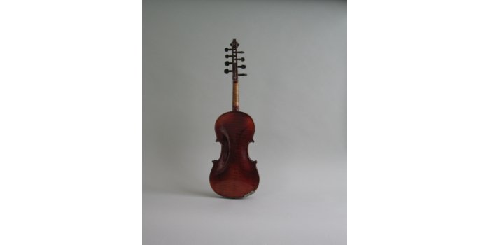 Violon