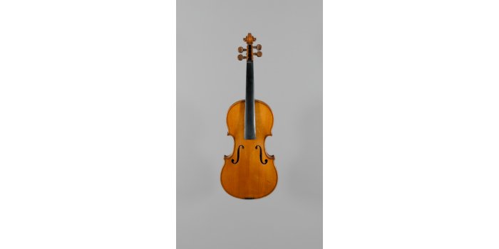 Violon