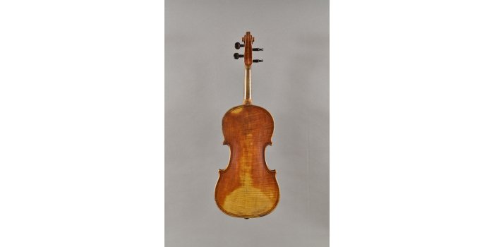 Violon