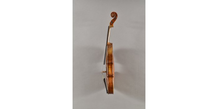 Violon