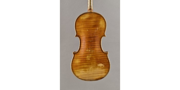 Violon