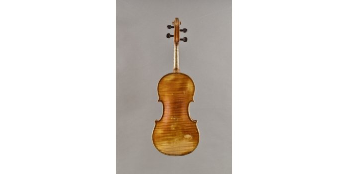 Violon