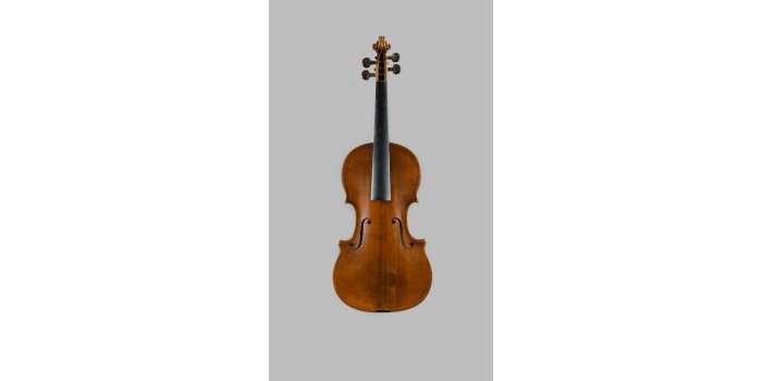 Violon