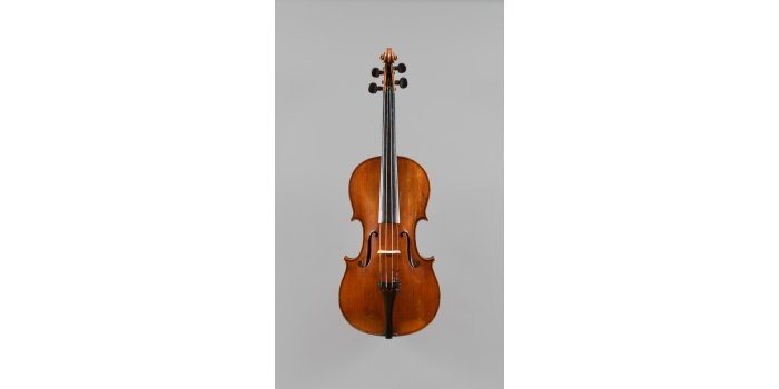 Violon