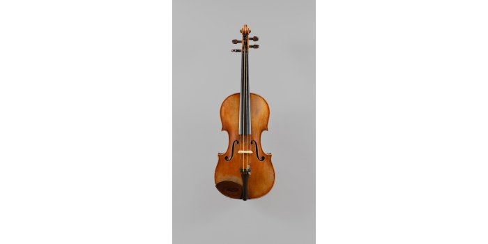 Violon