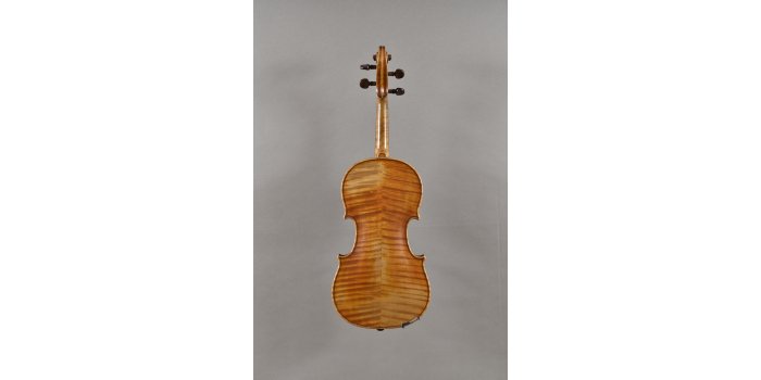 Violon