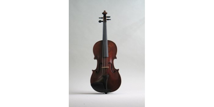 Violon