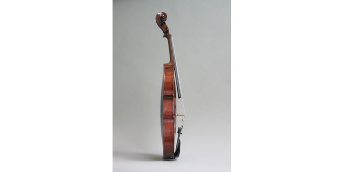 Violon