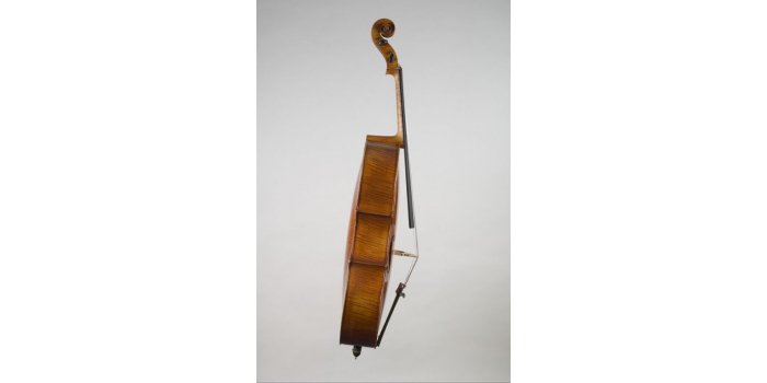 Violoncelle