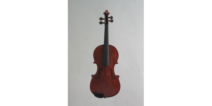 Violon