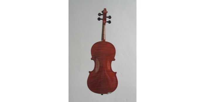 Violon