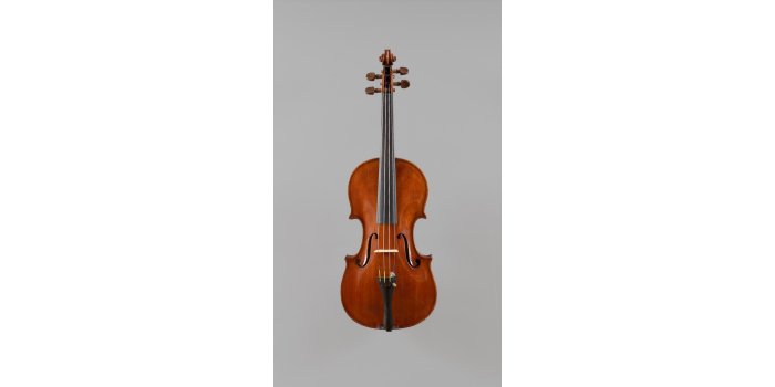 Violon