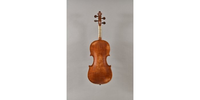 Violon