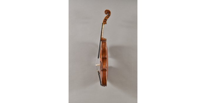 Violon