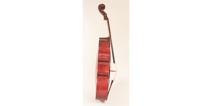 Violoncelle