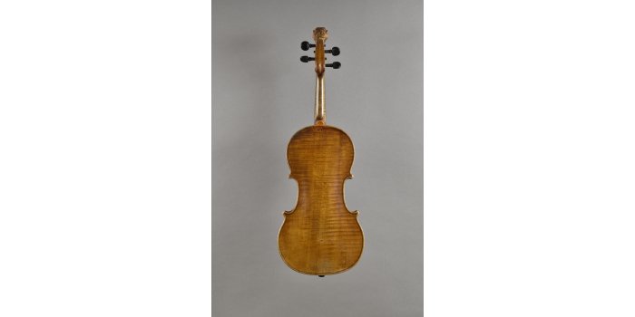 Violon