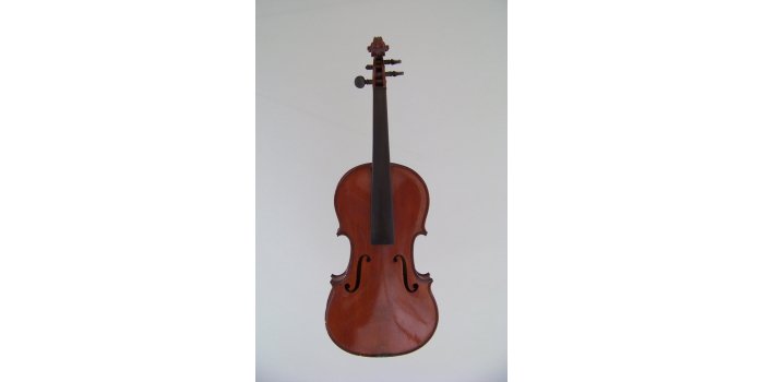 Violon