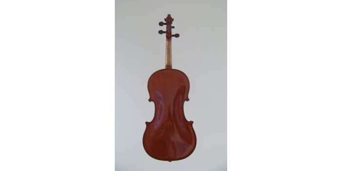 Violon