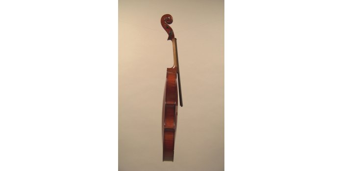 Violon