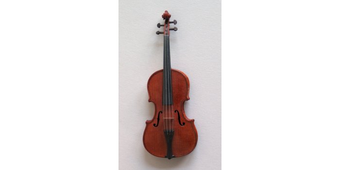 Violon miniature
