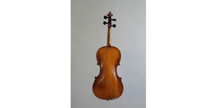 Violon