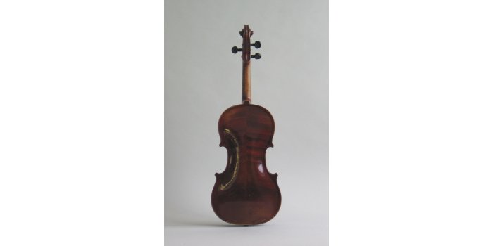 Violon