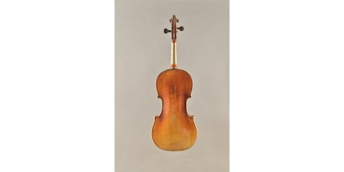 Violon