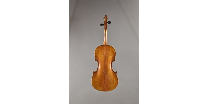 Violon