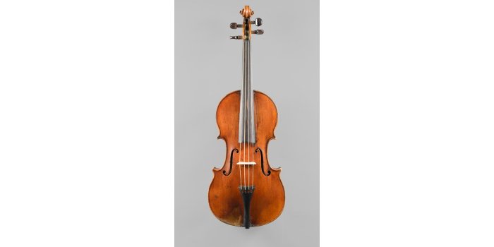 Violon