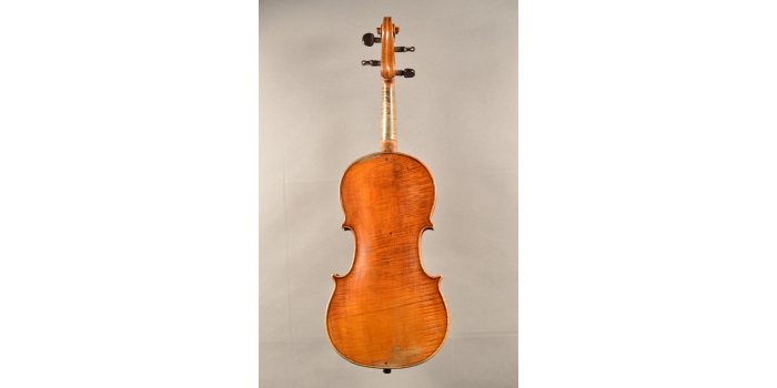 Violon